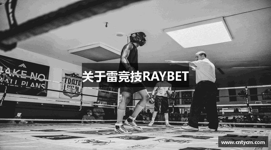 关于雷竞技RAYBET